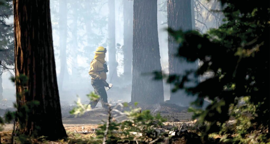 California sets aside $170 million to help prevent wildfires