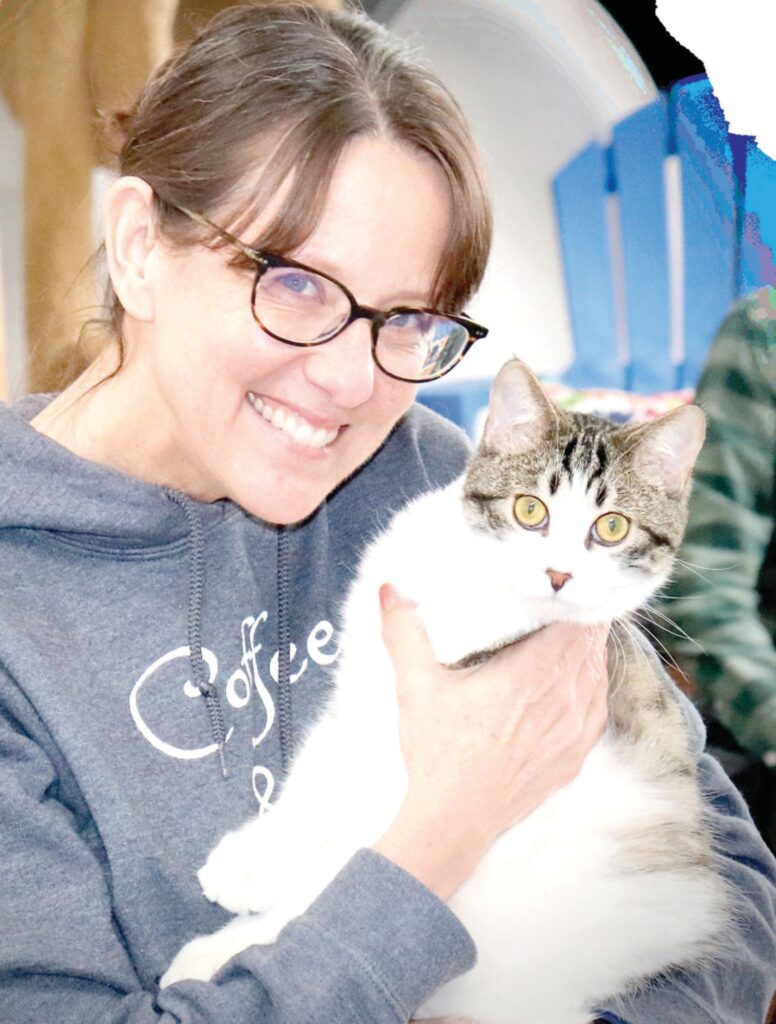 Improvements planned at Cassie's Cats