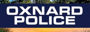 Driver charged with Firearms violations