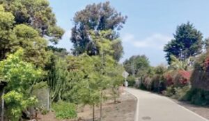 Photos courtesy City of Ventura.