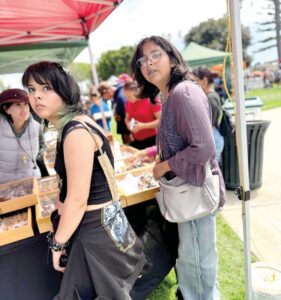 Insect Festival Icky and Nutritional