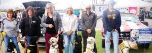Ponies by the Sea returns to Harbor
