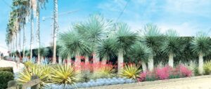 Port Hueneme City Council ok’s Landscape Replacement Project