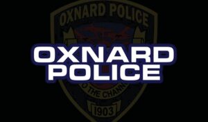 Driver stopped with firearm