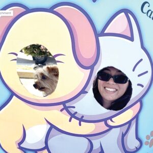 Cats and dogs thrive at Farmers' Market