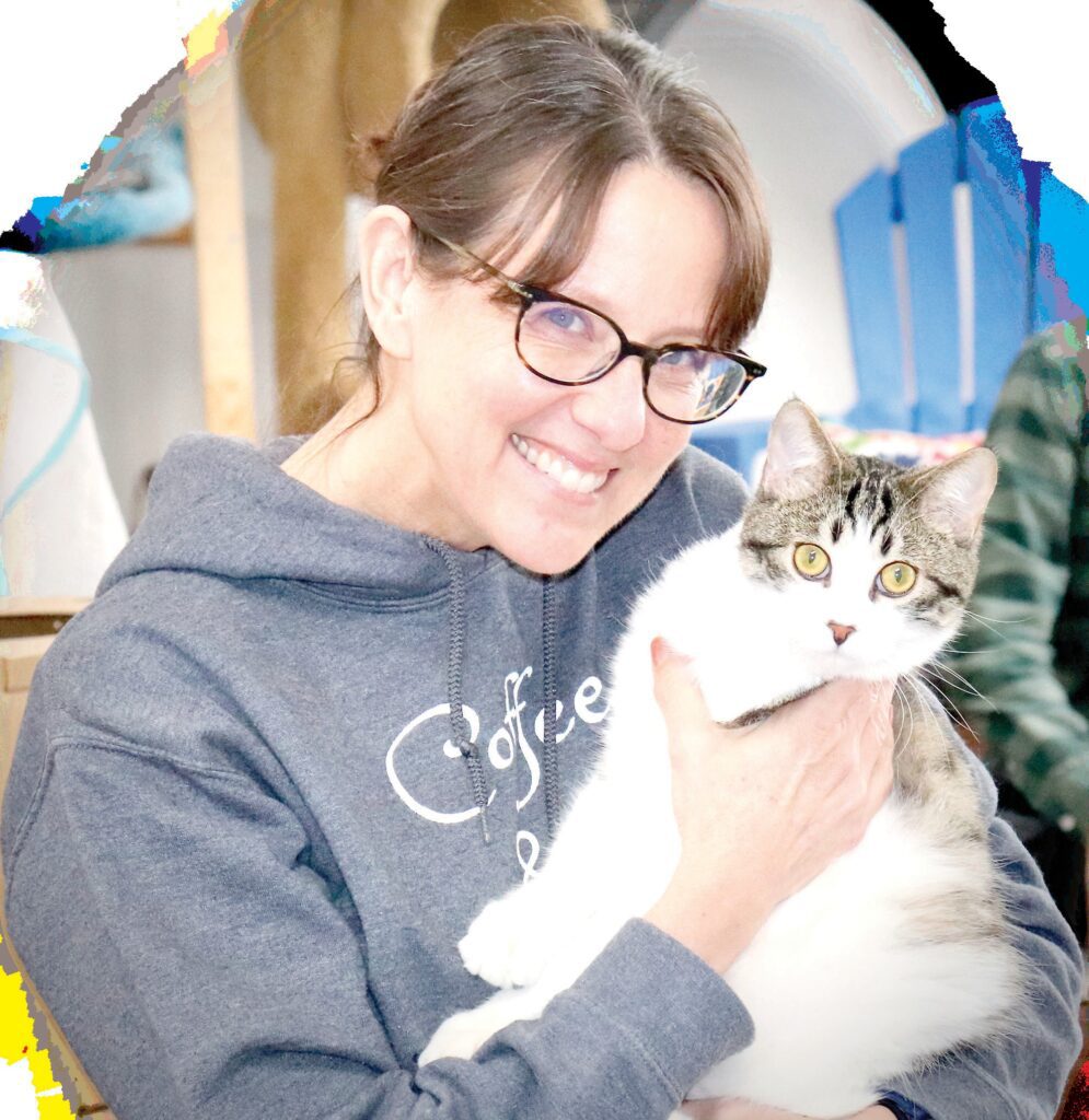 Cassie's Cats and Kittes Celebrates Great 2022