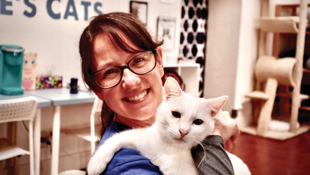 Spencer is a happy easygoing Cat