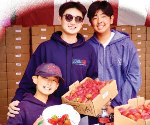 STRAWBERRY FESTIVAL DELIGHTS LARGE CROWD