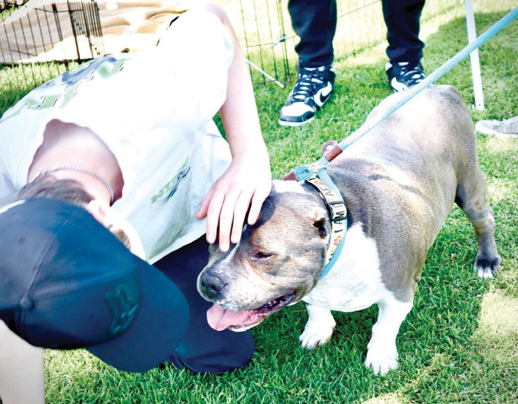 Rescue Con creates happy lives