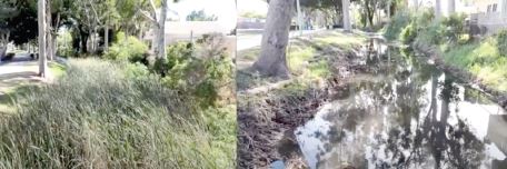Bubbling Springs project making progress