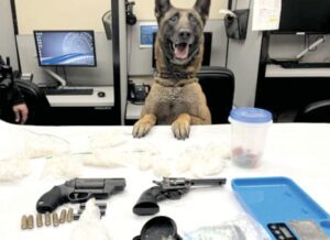 Canine assists with drug arrest