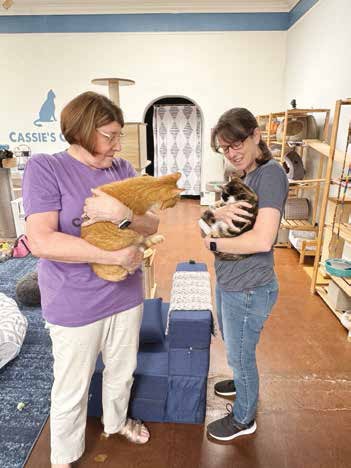 Cassie's Cats celebrates Four Years