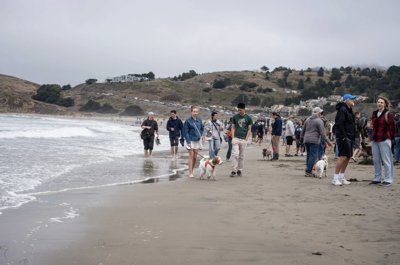 How Airbnb Is Fighting for Its Place on California’s Coast